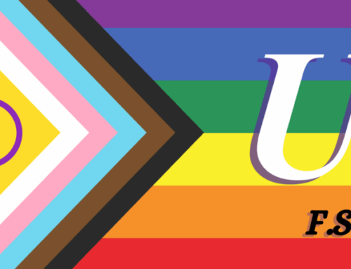 Marches des fiertés 2025 Pour l’égalité et contre les discriminations anti LGBTQIA+ : toutes et tous dans les marches des fiertés !